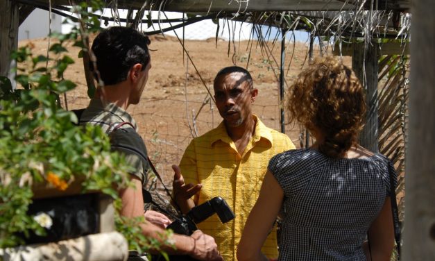 Ta posibel pa agrikultura ekológiko alimentá e mundu?