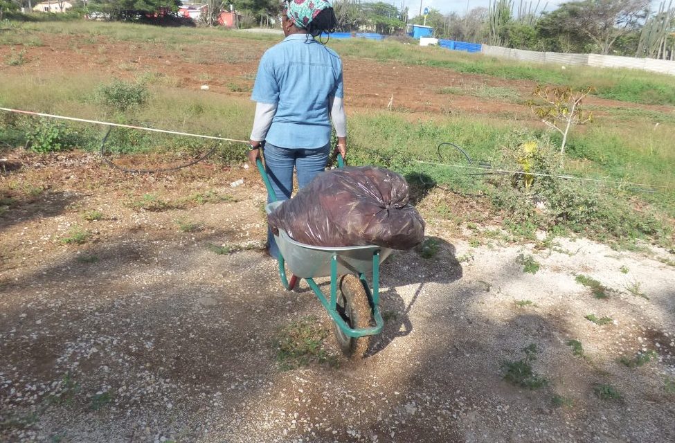 Kunuku Bena Mayó