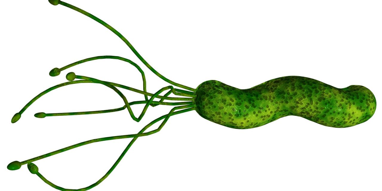 De Helicobacter Pylori anders bekeken