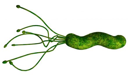 De Helicobacter Pylori anders bekeken