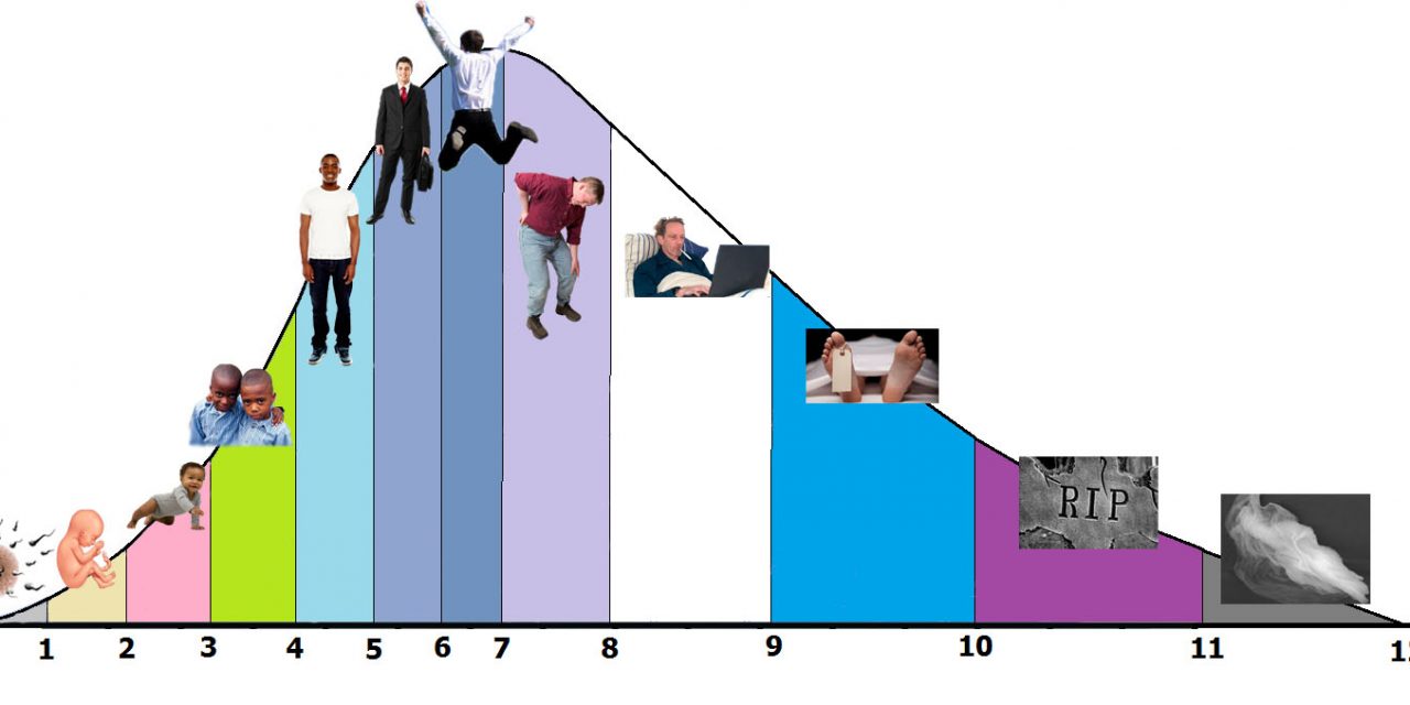 De ontwikkeling van de mens in 12 levensfasen