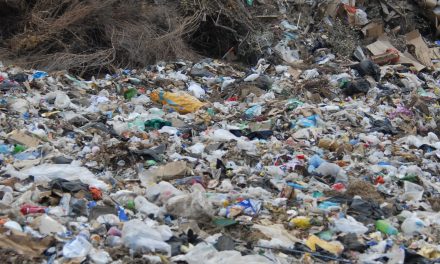 De goede en hele slechte gevolgen van de uitvinding van plastic