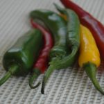 Heet, heter, heetste op de Scovilleschaal