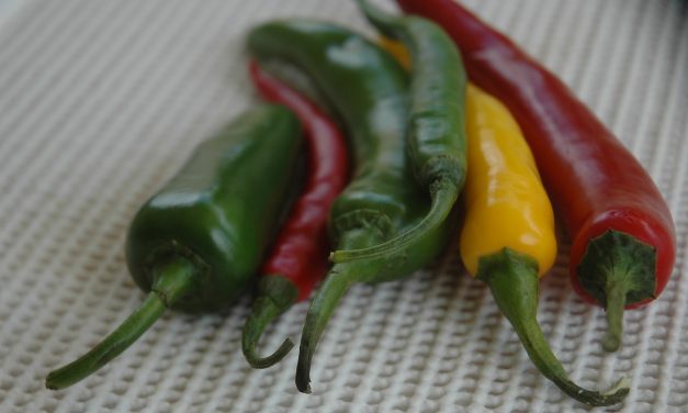 Heet, heter, heetste op de Scovilleschaal