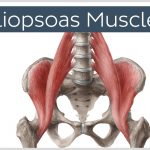 Samenspel tussen buik- en bilspieren