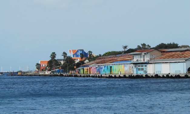 Je doet toch ook mee met Wellness?