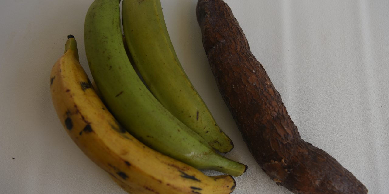 Bakbanaan en yuca tostones