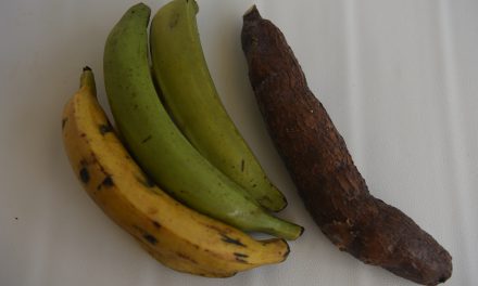 Bakbanaan en yuca tostones