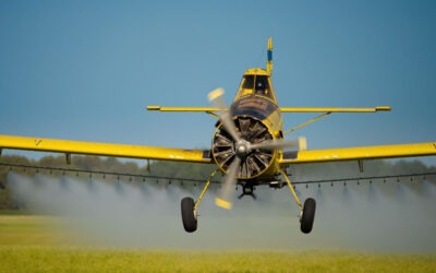 Geslachtsverandering komt steeds vaker voor