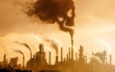De giftige waarheid over toxinen