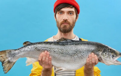 Gekweekte zalm valt ook onder ‘junkfood’