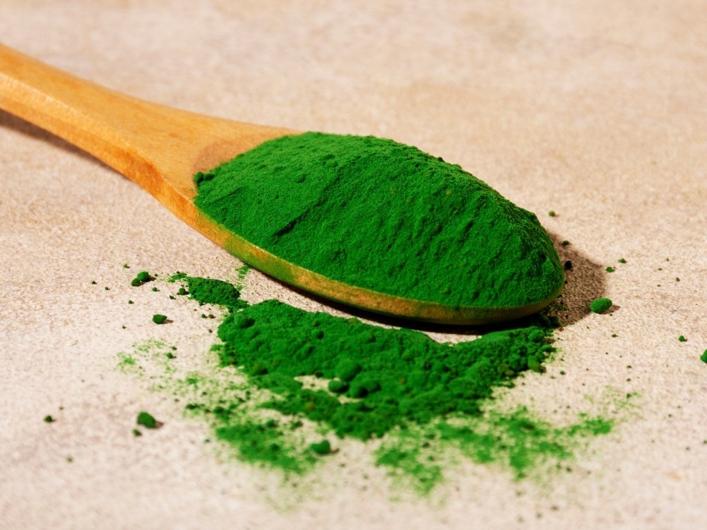 Algen Chlorella