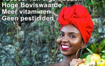 Gezondheid in de Curaçaose keuken
